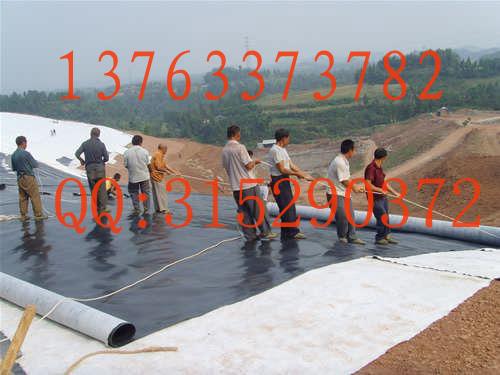 供应广东梅州HDPE土工膜厂家现货直销13763373782