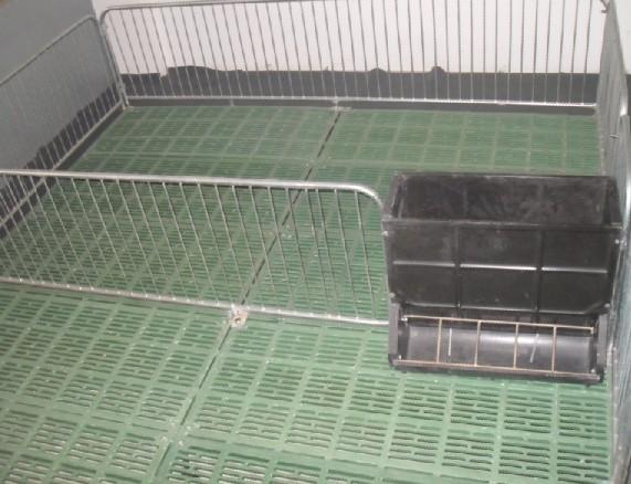 供应养猪设备复合漏粪板供应商