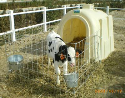 牧场建设之小规模肉牛养殖小区的设计