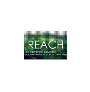 供应义乌皮圈REACH检测  皮圈欧盟CE认证 EN71检测报告