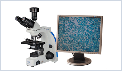 供应BS500生物显微镜