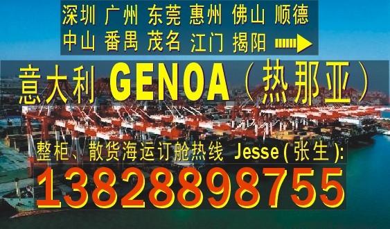 供应深圳东莞广州到意大利热那亚GENOA的国际海运代理公司