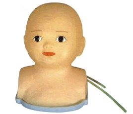 婴儿头部综合静脉穿刺示教模型批发