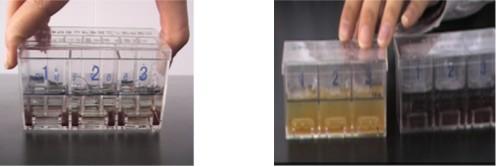 供应水质大肠菌群检测试剂盒5份/盒 