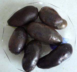 紫色土豆紫色土豆种子紫色土豆品种黑美人土豆黑美人土豆