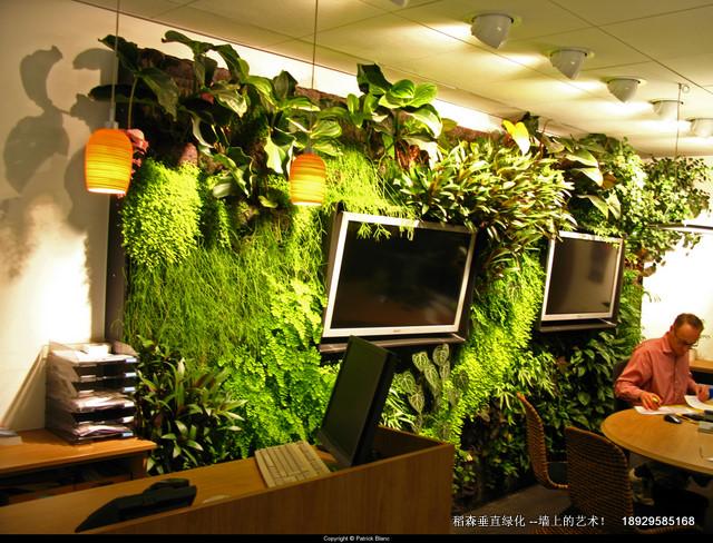 植物墙垂直绿化在南宁植物墙垂直绿化在南宁