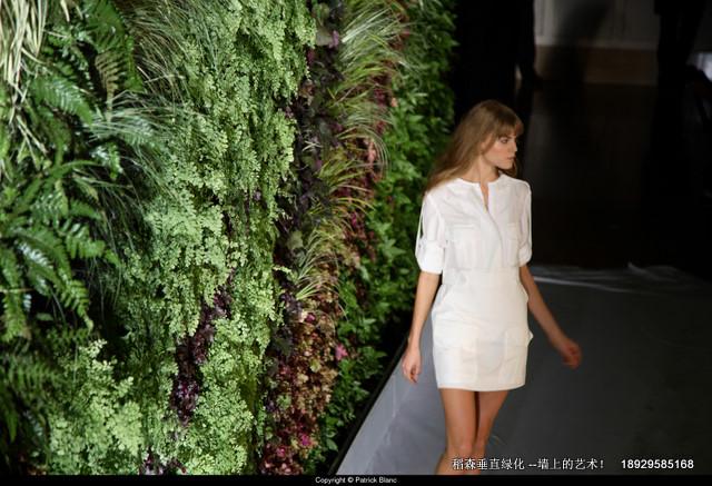 广州市垂直绿化植物墙与布兰克广东厂家垂直绿化植物墙与布兰克-广东