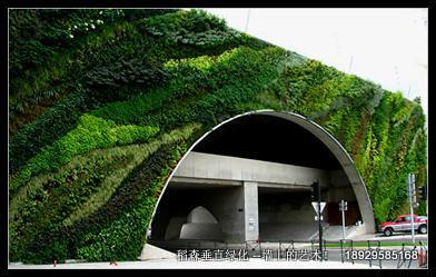 广州市植物生态墙绿墙厂家植物生态墙绿墙，植物生态墙绿墙价格，植物生态墙绿墙公司