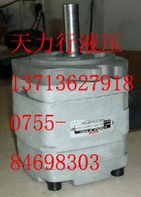供应日本不二越齿轮泵/IPH系列高压齿轮泵