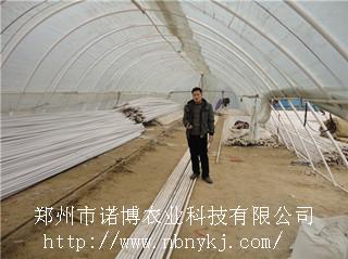 郑州市新型复合材料蔬菜棚架建设厂家供应新型复合材料蔬菜棚架建设蔬菜大棚骨架厂家