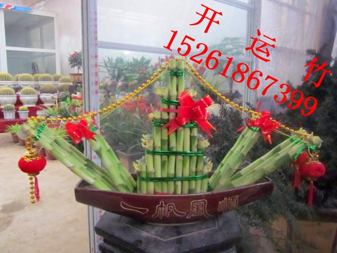 南京市南京花卉租赁价格厂家