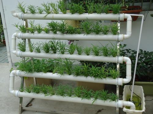 适合阳台无土栽培蔬菜设备阳台种菜阳台有机生态菜园菜园种菜机
