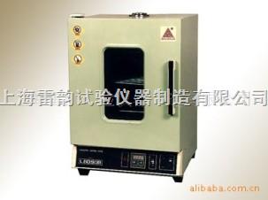 供应100B型不锈钢理化干燥箱，上海干燥箱厂家图片