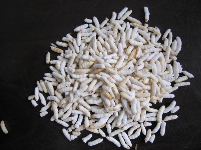 供应炒米机生产商，炒米机，青岛炒米机，炒米机价格，炒米机品牌