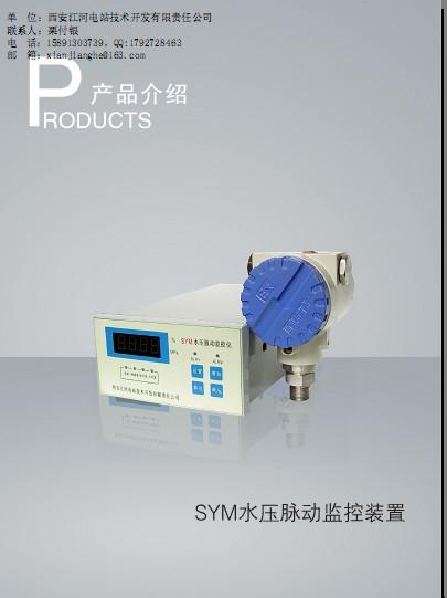 供应SYM水压脉动监测装置