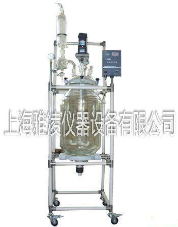 上海双层玻璃反应器S212-30L批发