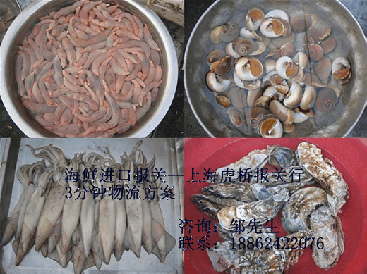 上海进口海鲜清关/法国生蚝进口批发