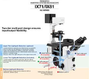 奥林巴斯IX81荧光倒置显微镜批发