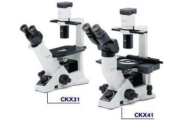 CKX41倒置显微镜日本奥林巴斯OLYMPUS相差