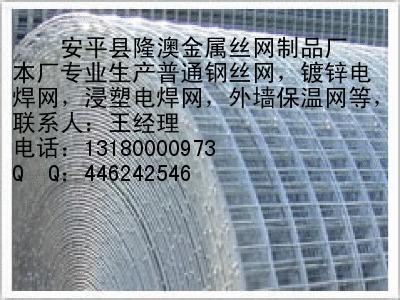 衡水市浸塑电焊网报价镀锌钢丝网抹墙网厂厂家
