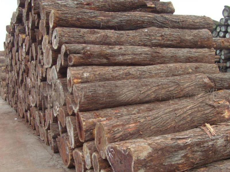 欧洲原木进口代理上海木材进口流程批发