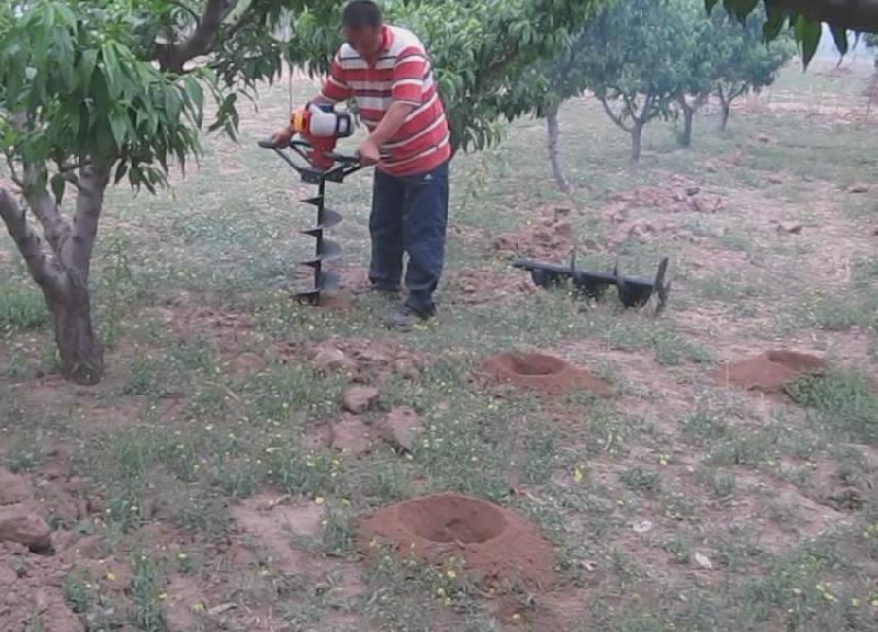 供应挖树坑机器挖树坑设备