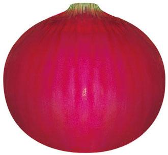 供应紫红色洋葱种子超级紫玉