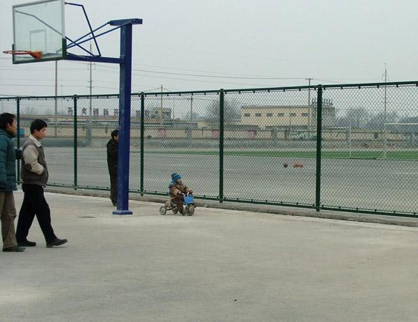 衡水市篮球场护栏网围栏网厂家