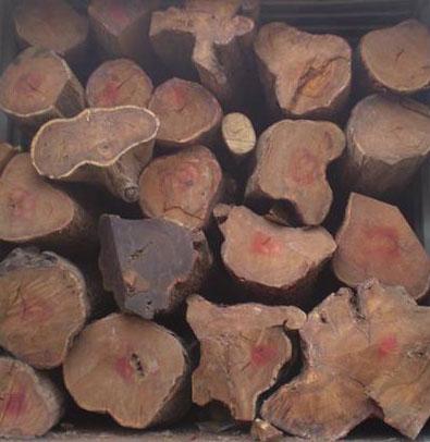 供应南沙港进口木材清关代理，广州南沙港木材清关代理公司