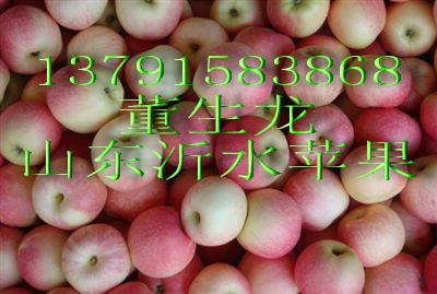 供应山东红富士苹果价格行情图片