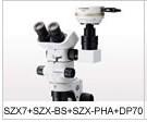 供应奥林巴斯荧光显微镜SZX7-4122RFL-2（上海供应区）