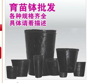 供应营养钵塑料营养袋营养杯育苗杯价格图片
