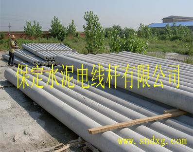 供应北京10米水泥电线杆