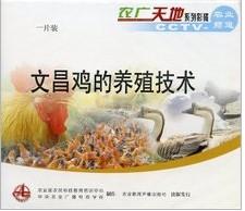 供应海南文昌鸡的养殖技术图片
