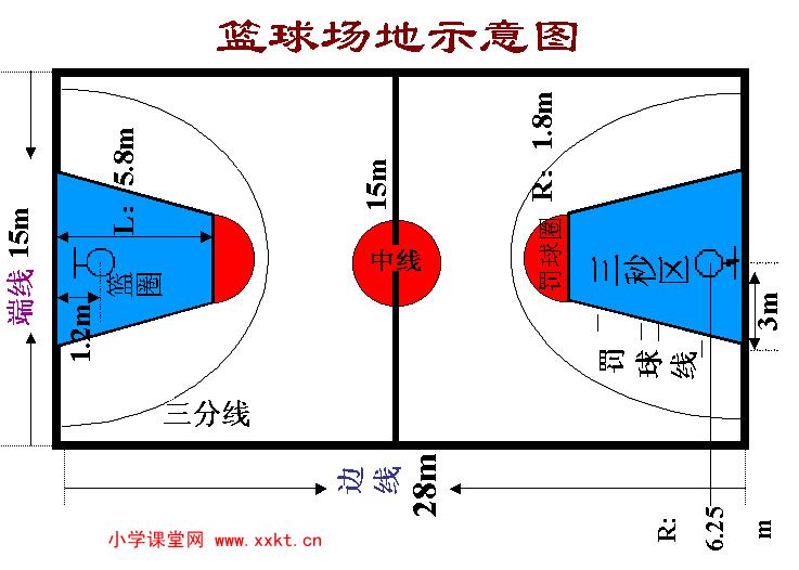 网经新闻