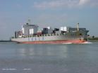供应国内海运海南到上海往返货柜物流图片