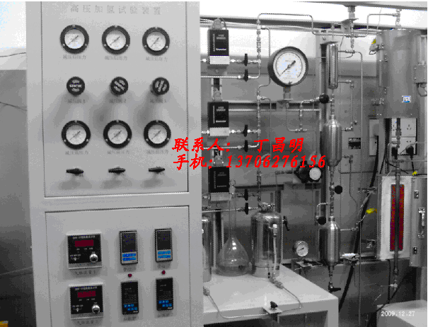 供应化工科研仪器/加氢高温高压微反仪