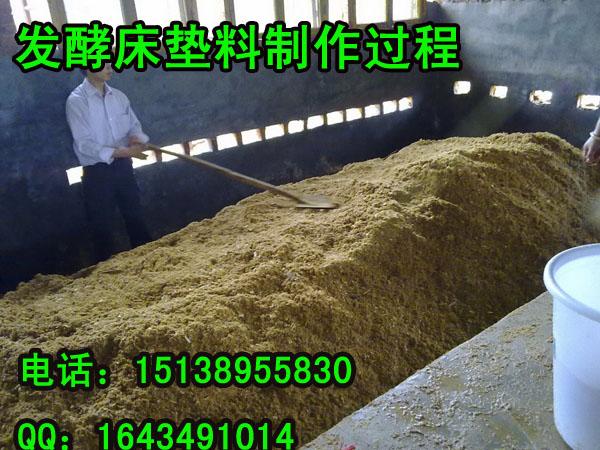 供应懒汉生态环保养猪技术利用发酵床养猪正规厂家发酵床菌种销售价格