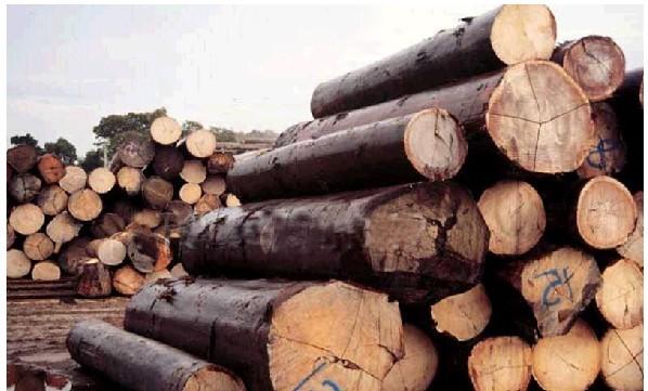 怎么办理进口欧洲木材单证批发