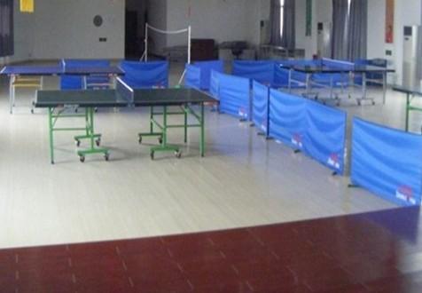 供应乒乓球发球机专卖      出售各种乒乓球台