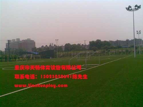 重庆市垫江县户外人造草坪厂家