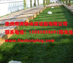 双桥区装饰材料人造草坪,重庆万州区户外休闲人造草坪,重庆好品质人造草坪厂家图片