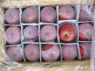 供应用于水果的陕西青苹果批发基地，陕西藤木苹果