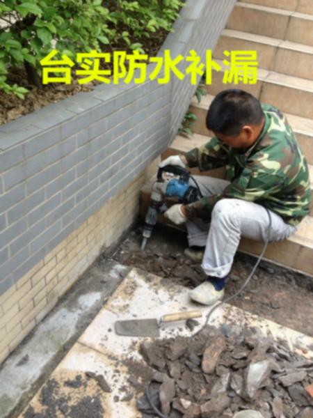 供应广州台实专业承接楼房厂房防水补漏