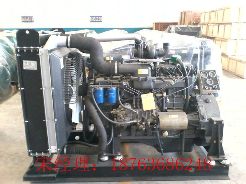 供应潍坊HK6113ZLP带皮带轮固定动力柴油机