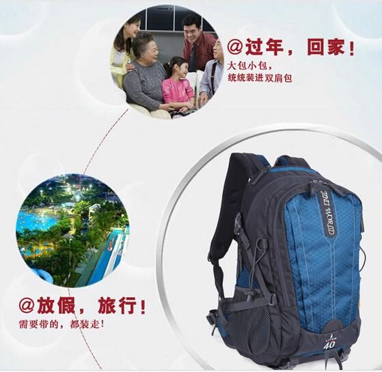 供应双肩包 书包休闲旅行包 可定制LOGO 深圳福永箱包厂定做图片