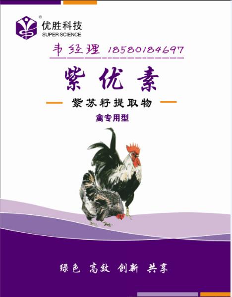 肉禽紫优素紫苏籽提取物批发
