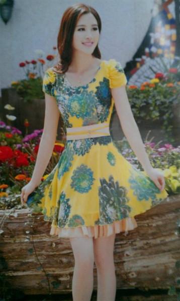 供应2014新款夏装连衣裙 图片