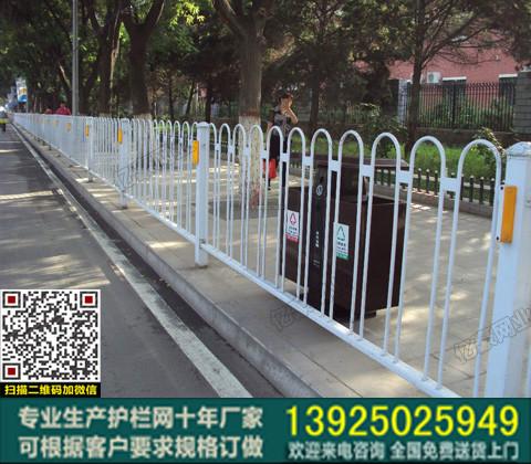 广州市政道路隔离网 广州市区公路隔离栅栏 市政绿化带隔离栅栏订做图片