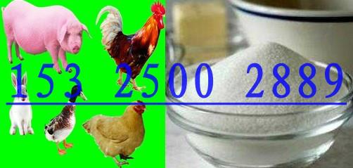 供应鸡鸭猪牛羊促生长饲料营养添加剂CC-YSY01